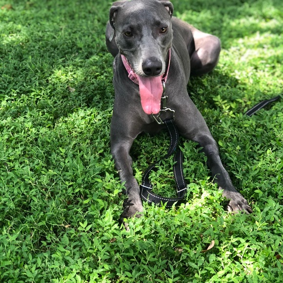 Meet your Posher, Danny - Picture 1 of 1